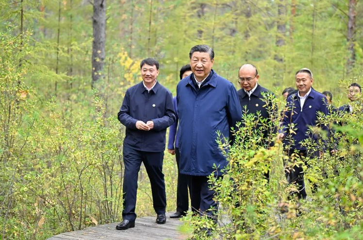 1694211093117407.png 1694211076382.png