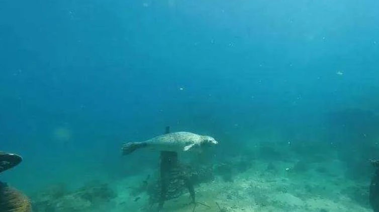 1694211013112708.png 1694210962293.png