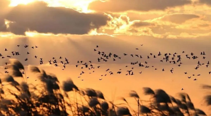 1699917856130661.jpg 4.jpg