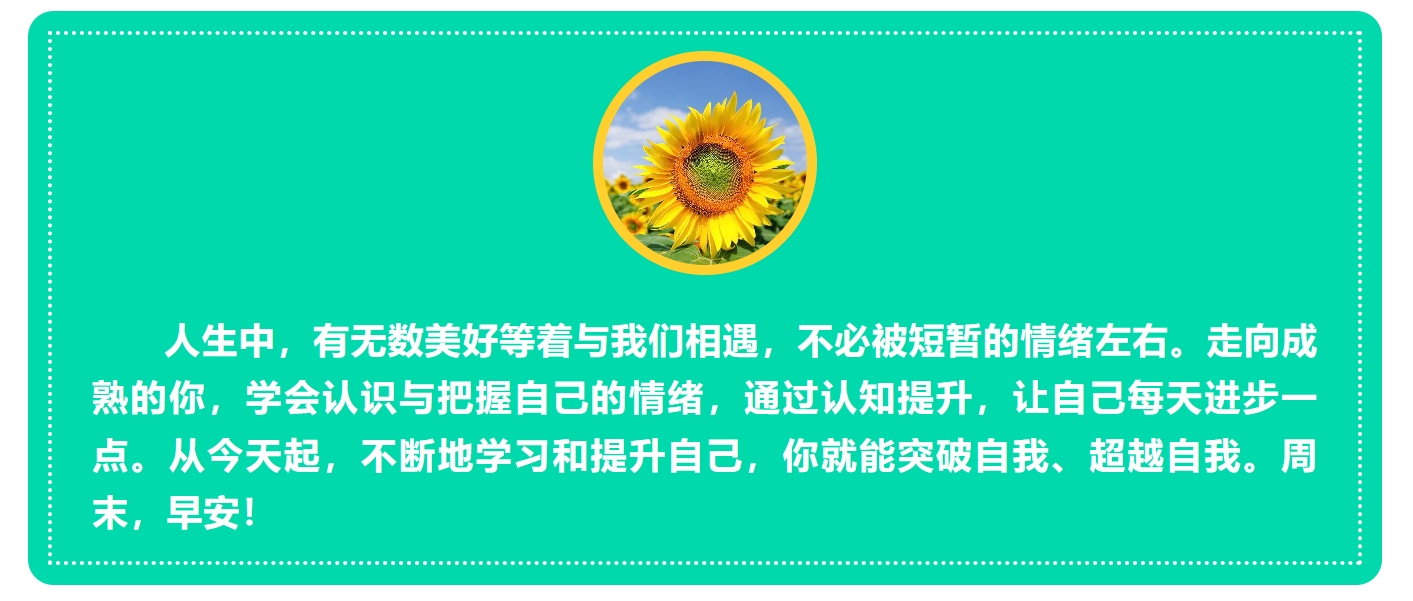 1709422040173303.jpg 6.jpg