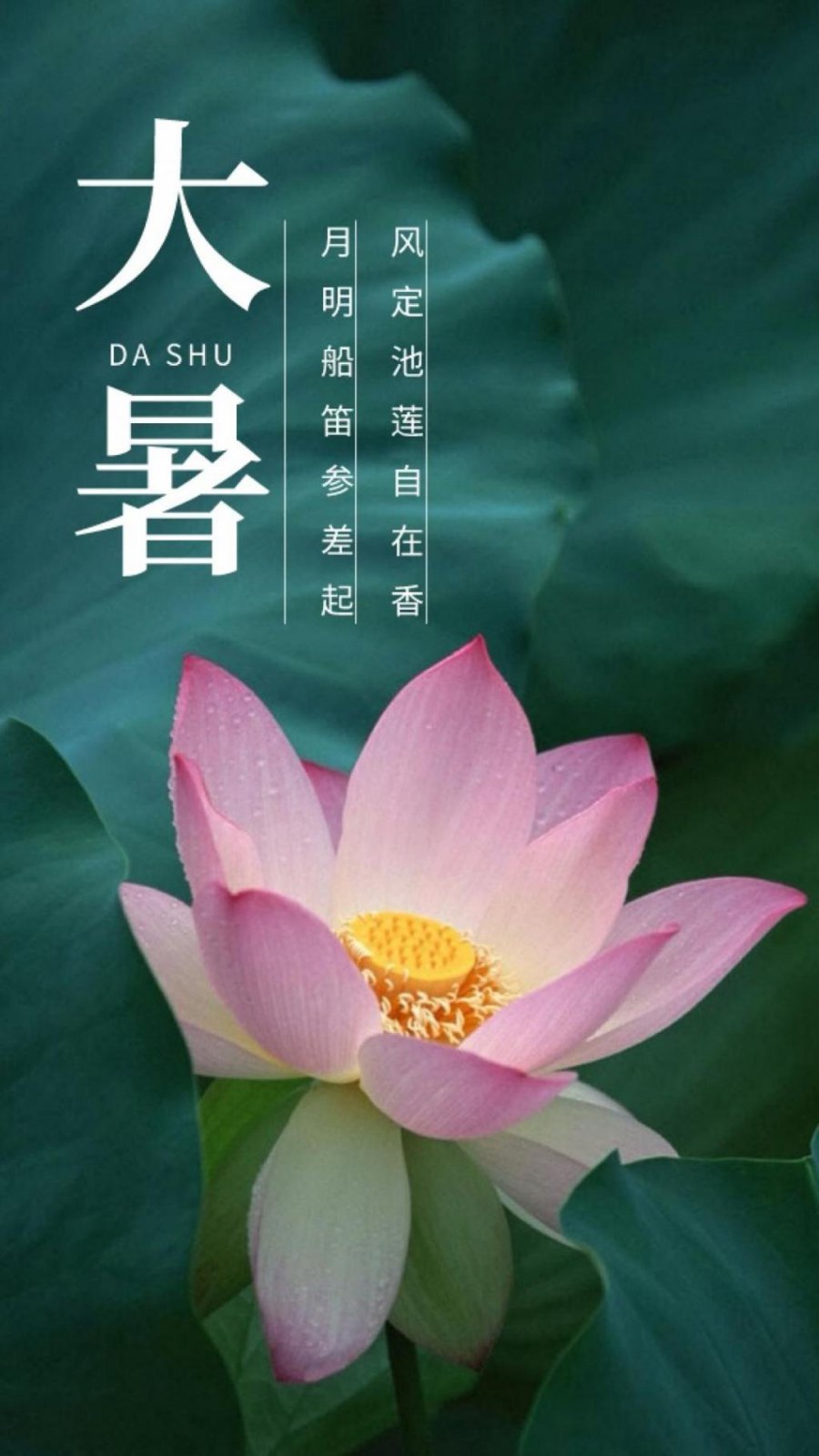 1721717942126874.jpg 2345_image_file_copy_1.jpg