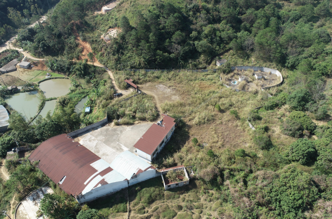 1767924129535796.png image.png