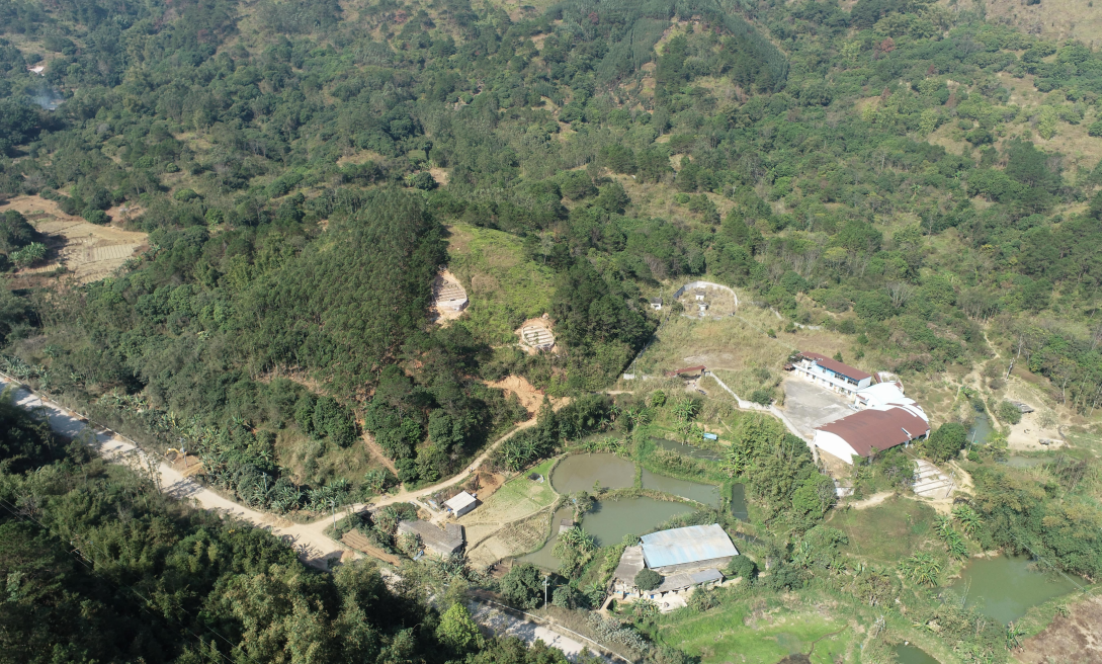 1767924149381770.png image.png